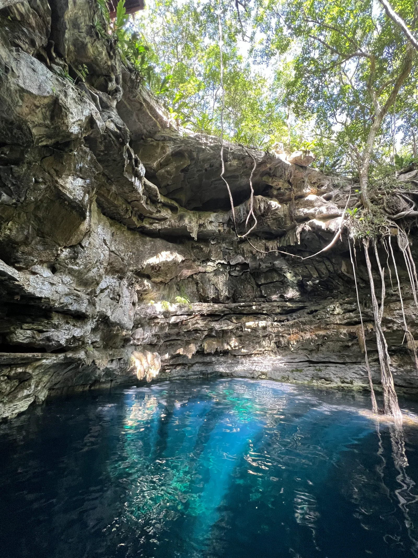 Agua azul cristalina en un cenote tranquilo de la selva