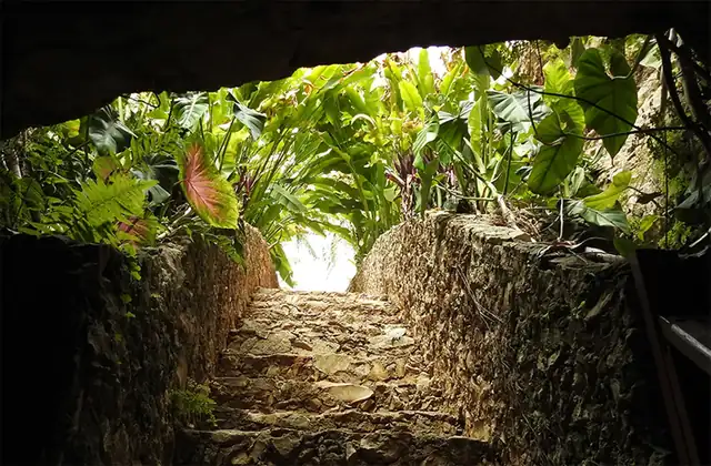 Camino de piedra que sale de un cenote hacia la vegetaci&oacute;n tropical
